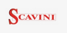 Scavini